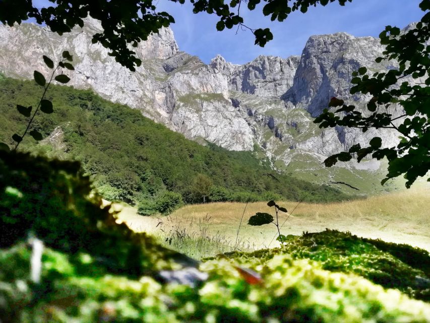 Santander: Picos, Santo Toribio Monastery and Potes Day Tour - Frequently Asked Questions