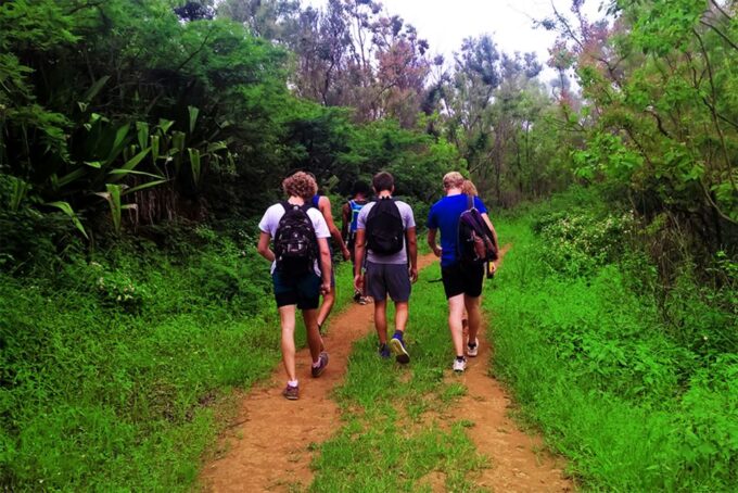Santiago Island: Serra Malagueta & Tarrafal Beach Trek Tour - Customer Feedback