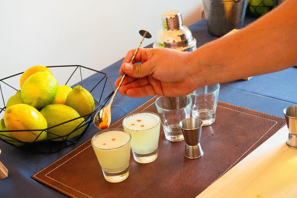 Santiago: Pisco Sour Class With Tastings - Customer Reviews