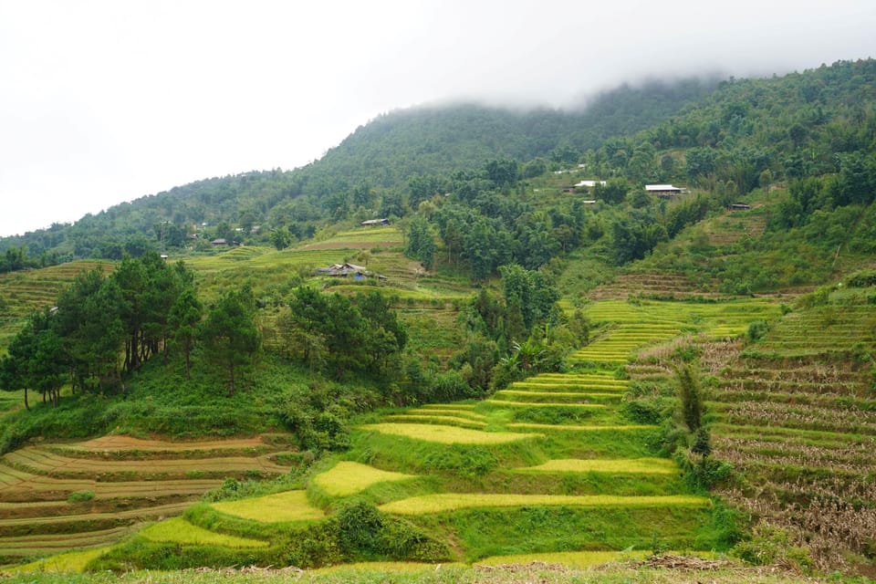 Sapa 2 Days 1 Night Overnight at Homestay With Local People - Tour Guide Availability