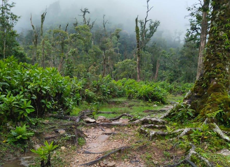 SAPA : Climb up to Fansipan Mountain With LOCAL GUIDE - Frequently Asked Questions