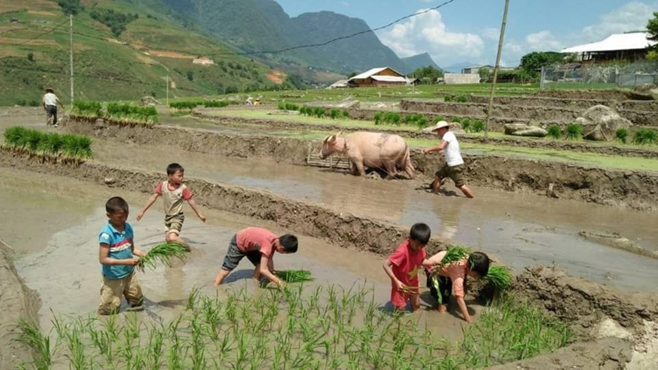 Sapa Trekking 3 Days 2 Night - VIP Sleeper Bus From Hanoi - Booking Process