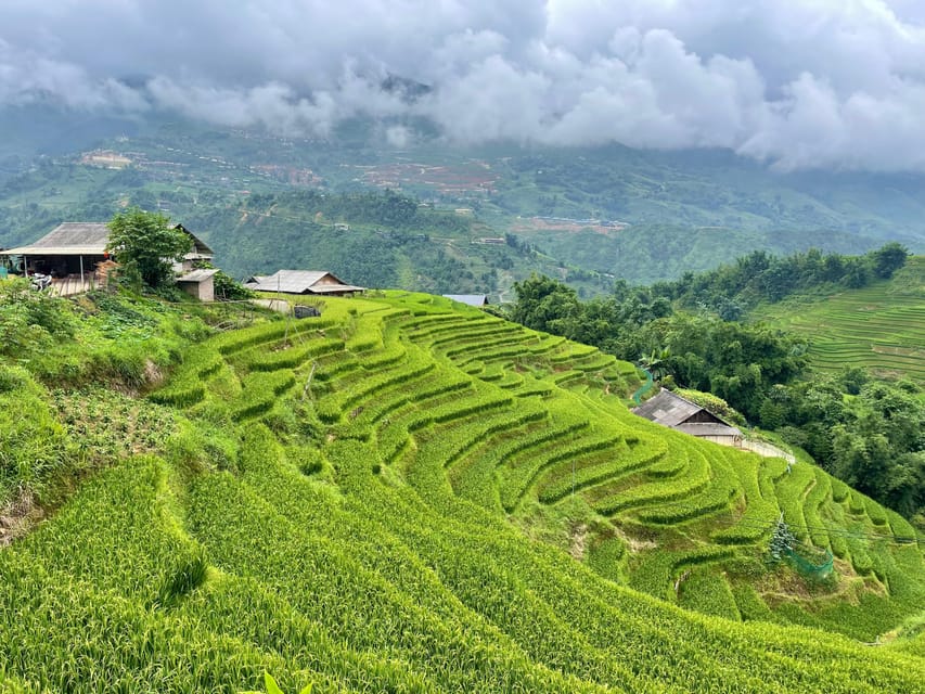 Sapa: Trekking Through Terraced Rice Fields & Valley 1 Day - Transportation and Lunch