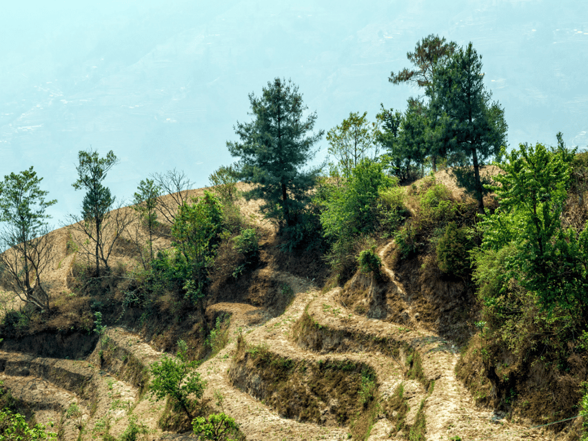 Scenic Day Hike: Nagarkot to Changunarayan With Lunch - Booking Information