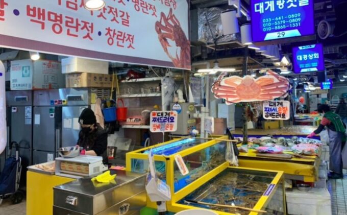 Seoul: Gangneung From K-Pop Band Bus Stop to Anmok Beach - Frequently Asked Questions