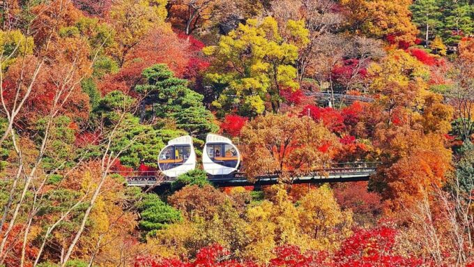 Seoul: Hwadam Forest & Namhansanseong & Folk Village Tour - Free Cancellation and Booking