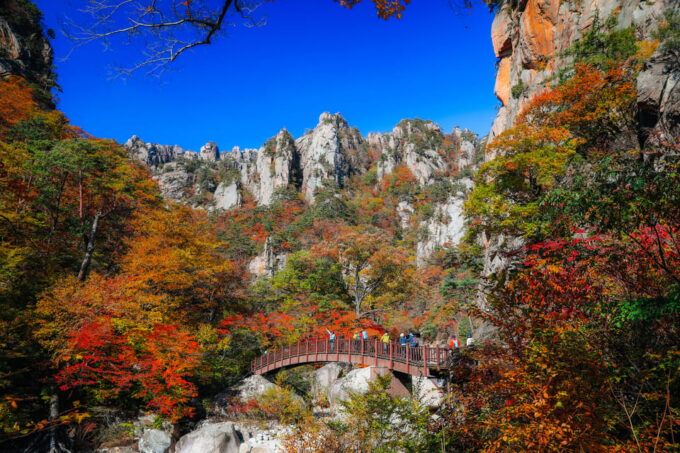 Seoul: Mt. Seorak National Park Autumn Foliage One Day Tour - Customer Reviews