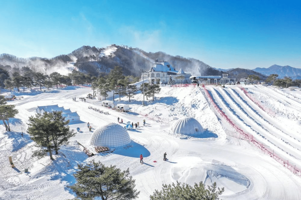 Seoul: Snowyland in Vivaldi Park With Nami or Alpaca - Frequently Asked Questions