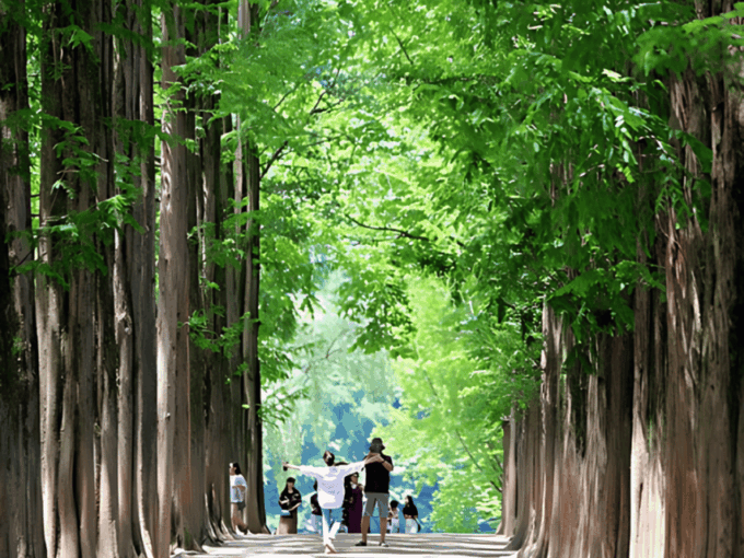 Seoul Suburb : Private Car Rental With Driver Day Trip - Frequently Asked Questions