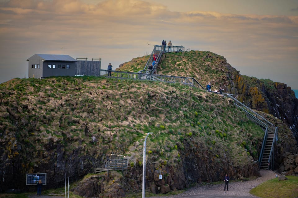 Seydisfjordur: Scenic Drive and Puffins Half-Day Trip - Tips for a Great Experience