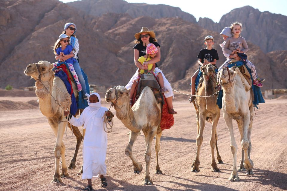 Sharm: Arabian Adventure Horse Ride & Camel Ride W Breakfast - Tips for Your Journey