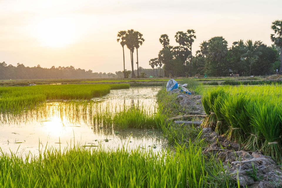 Siem Reap: Afternoon Cooking Class & Village Tour - Booking Information