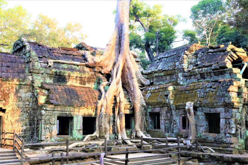 Siem Reap: Angkor Wat Sunrise and Best Temples Tour - Tips for a Memorable Tour