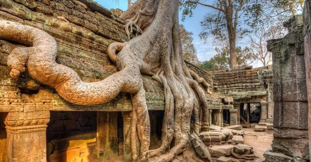 Siem Reap & Battambang: 8 Day Cambodian Wildlife Adventure - Booking and Cancellation Policies