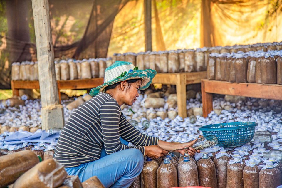 Siem Reap: Guided Countryside Bike Tour - Booking Information