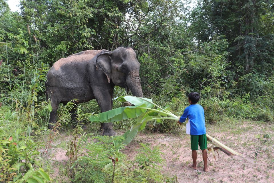 Siem Reap: Kulen Elephant Forest & Tonlesap Lake - Travel Tips