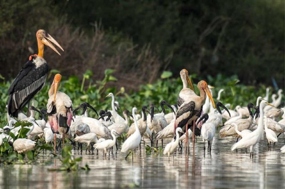 Siem Reap: Prek Toal Tonlé Sap Lake & Battambang Overnight - Booking and Cancellation Policy