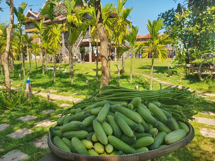 Siem Reap Sunset Dinner Tour at Rice Paddy Fields - Booking and Cancellation Policy