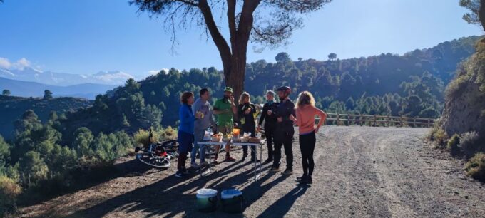 Sierra Nevada Small Group E-Bike Tour - Tour Availability