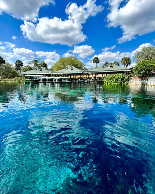 Silver Springs: Clear Kayak Manatee Season Tour - Educational Component