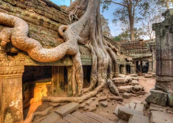 Small Tour in Angkor Archaeological Park - Additional Attractions Nearby