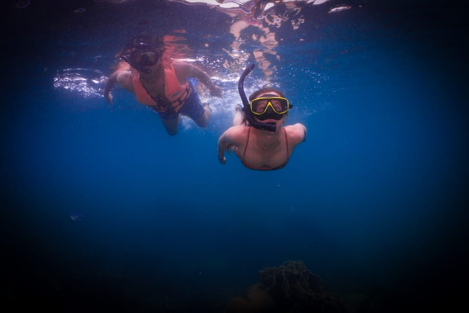 Snorkeling Course, Become a Confident Snorkeler. - Frequently Asked Questions