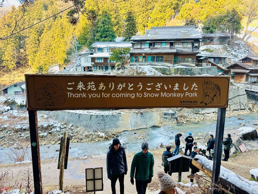 Snow Monkey Park Day Tour Pick-up and Drop-off From Nagano - Recommendations for Visitors