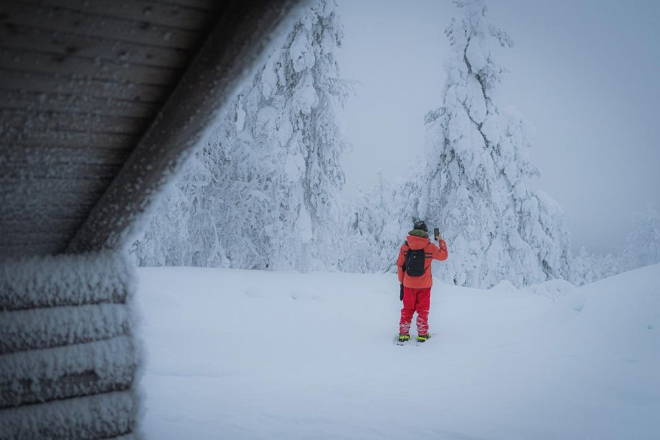 Snowshoeing in the Frozen Forest - Exploring the Frozen Forest