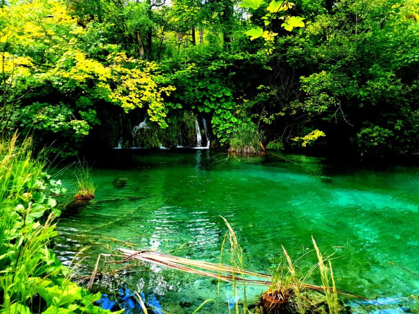 Split: Plitvice Lakes Guided Day Tour With Entry Tickets - Cancellation Policy