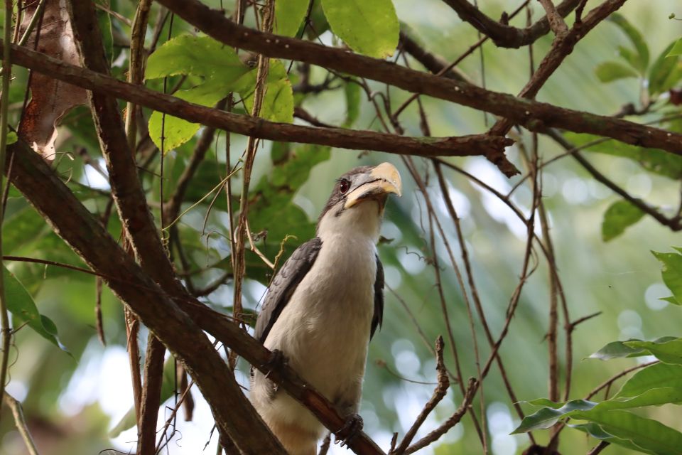 Sri Lanka Bentota: Mangrove Lagoon and River Cruise - Booking and Cancellation Policy