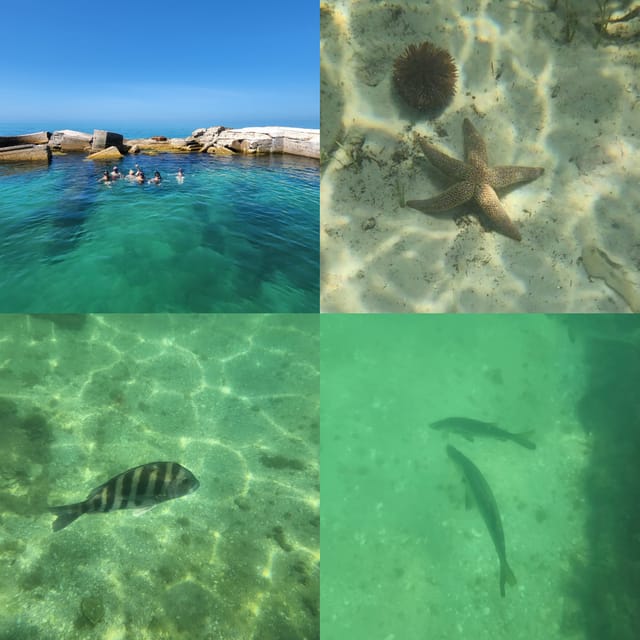 St Pete Beach: Private Boat Tour for Watersports Snorkeling - Why Choose a Private Tour