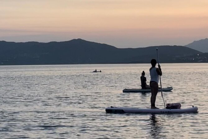 Stand Up Paddle Tour Dolphins Experience Golfo Aranci - Booking and Confirmation