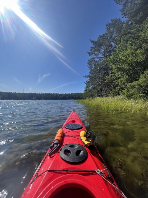 Stockholm: Morning Kayak Tour in the Archipelago + Lunch - Tips for a Great Experience