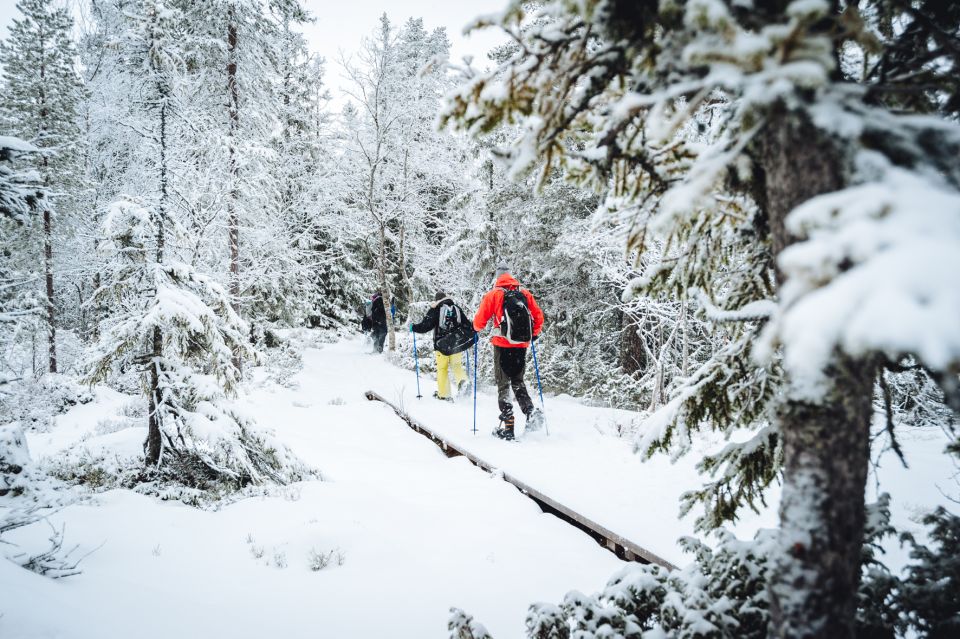 Stockholm: Winter Snowshoe Full-Day Hike - Local Wildlife Insights