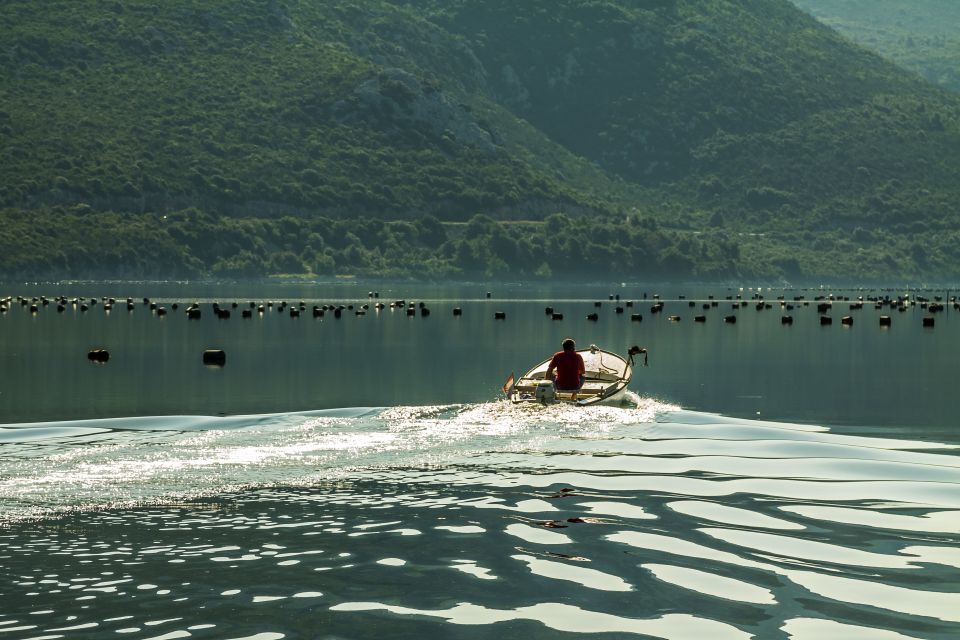 Ston Oyster Tasting Private Tour From Dubrovnik - Customer Feedback and Ratings