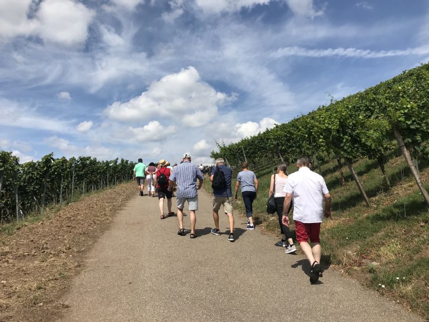 Stuttgart: Guided Wine Walk & Wine Tasting - Exploring Stuttgarts Wine Regions