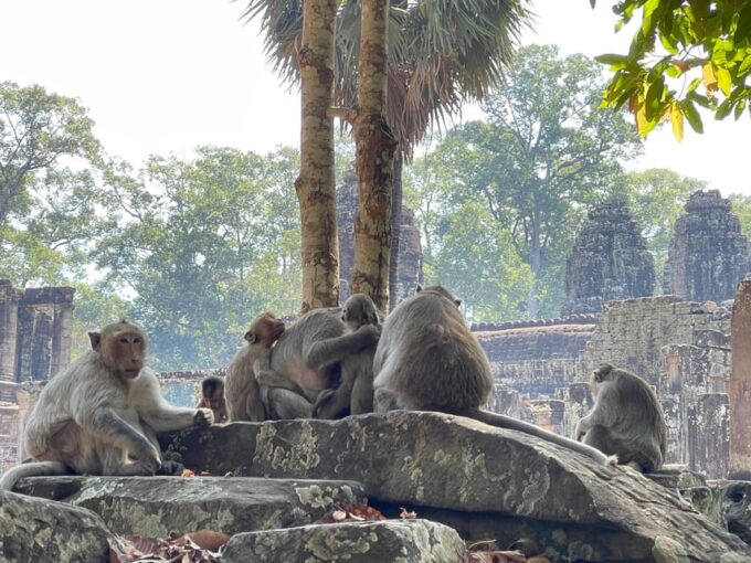 Sunrise Guided Tour of Major Angkor Temples and Banteay Srei - Exploring Banteay Srei