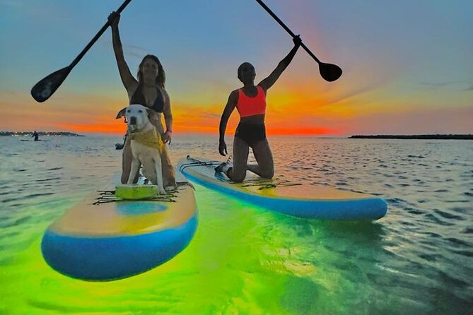 SUNSET GLOW Tour PaddleBoard - Customer Reviews and Feedback