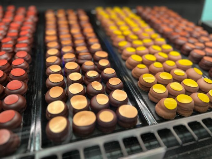 Swiss Chocolate Safari - Additional Experiences Available