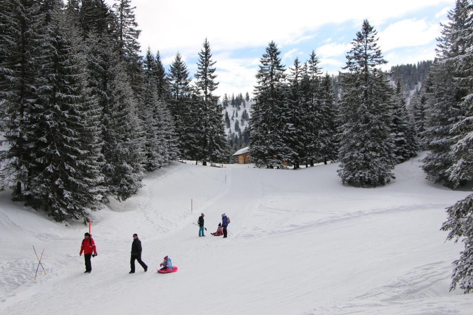 Switzerland: Private Sledging Day Tour - Booking and Cancellation Policy