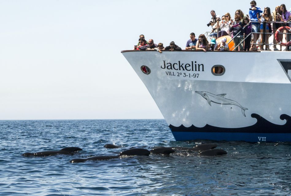 Tarifa: Whale & Dolphin Watching in the Strait of Gibraltar - Booking and Payment Information