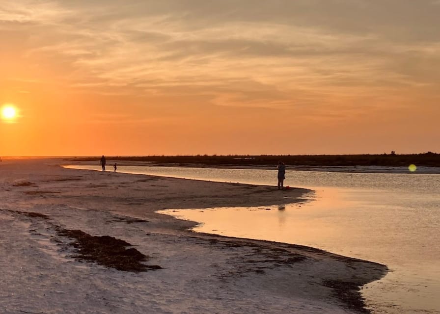 Tarpon Springs: Evening Dolphin Cruise - Cancellation and Payment Policy