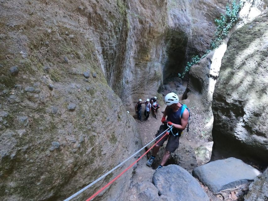 Tenerife: Guided Canyoning Experience in Los Arcos - Customer Testimonials