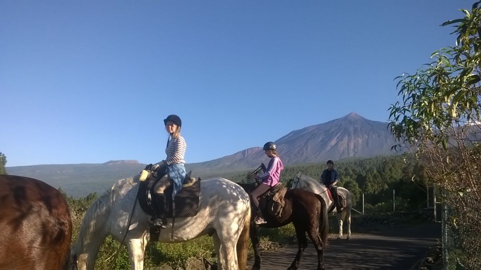 Tenerife: Guided Horseback Riding Tour to the Lomo Forest - Additional Information