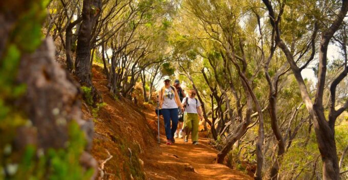 Tenerife: Hiking Tour in Anaga Mountains and Laurel Forest - Hiking in Anaga Mountains