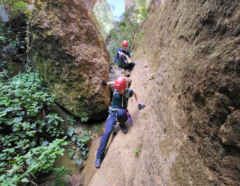 Tenerife: Los Arcos Canyoning Tour With Guide - Frequently Asked Questions