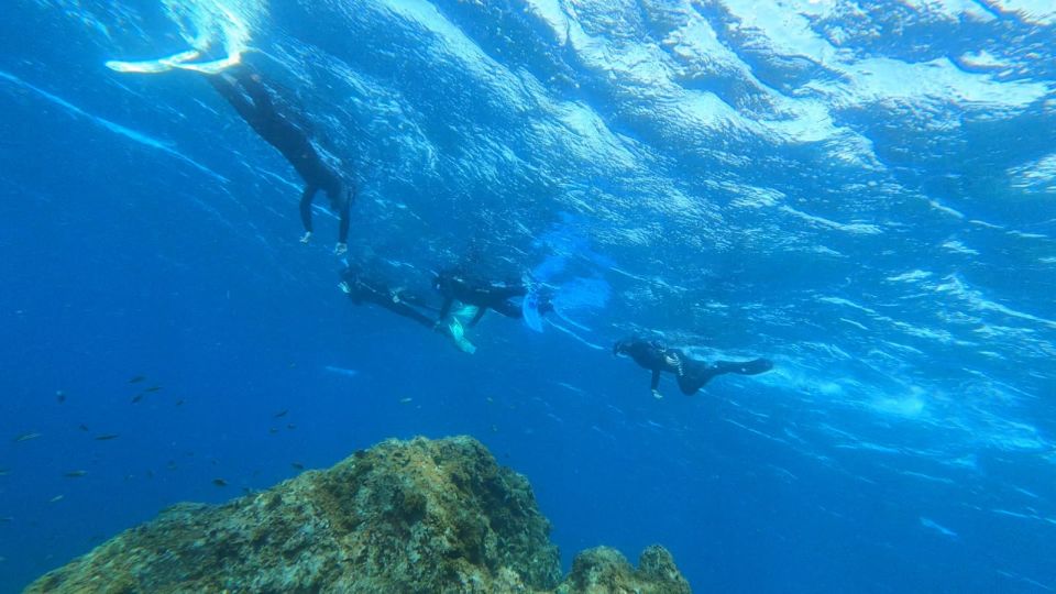 Tenerife: Snorkeling Tour in a Marine Protected Area - Booking Information