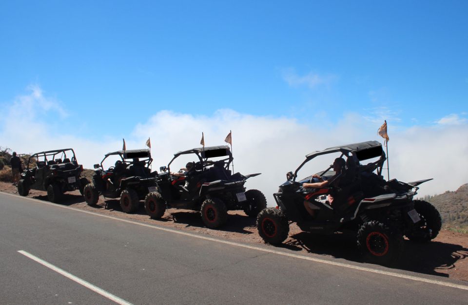 Tenerife: Teide National Park Guided Morning Buggy Tour - Tour Availability and Cancellation Policy