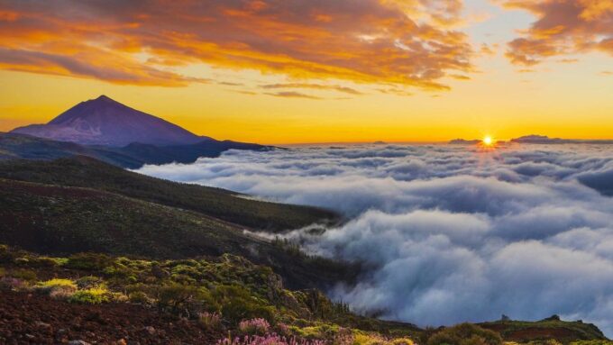 Tenerife: Teide & Stars + Guachinche Lunch + Cava Vip Tour - Customer Feedback