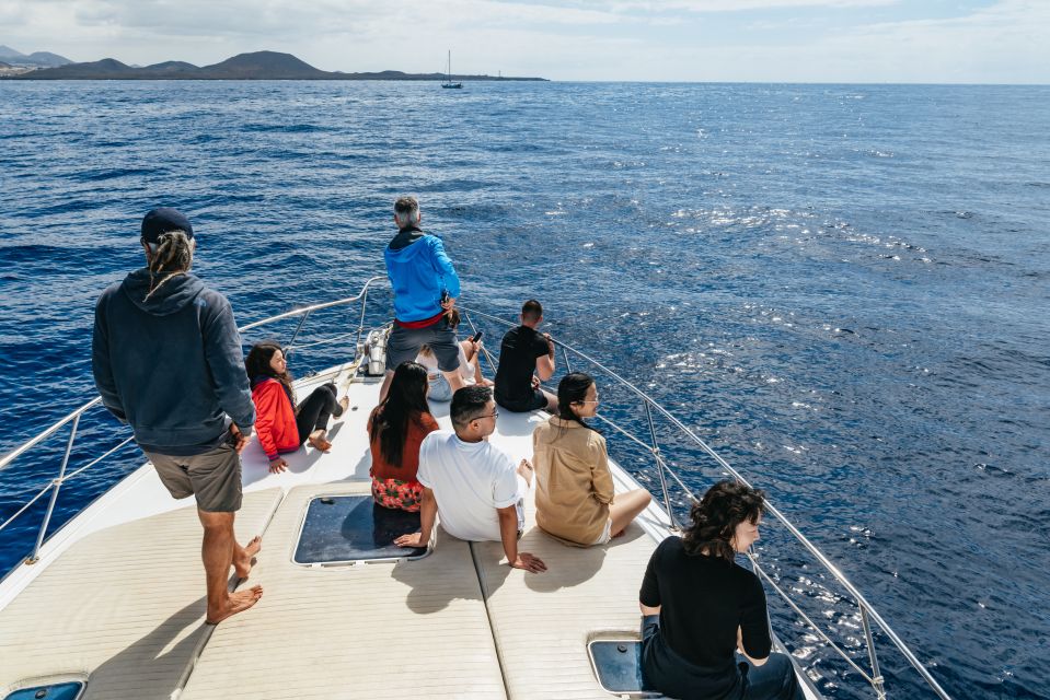 The Cookies: Whale & Dolphin Tour With Local Skipper - Customer Feedback